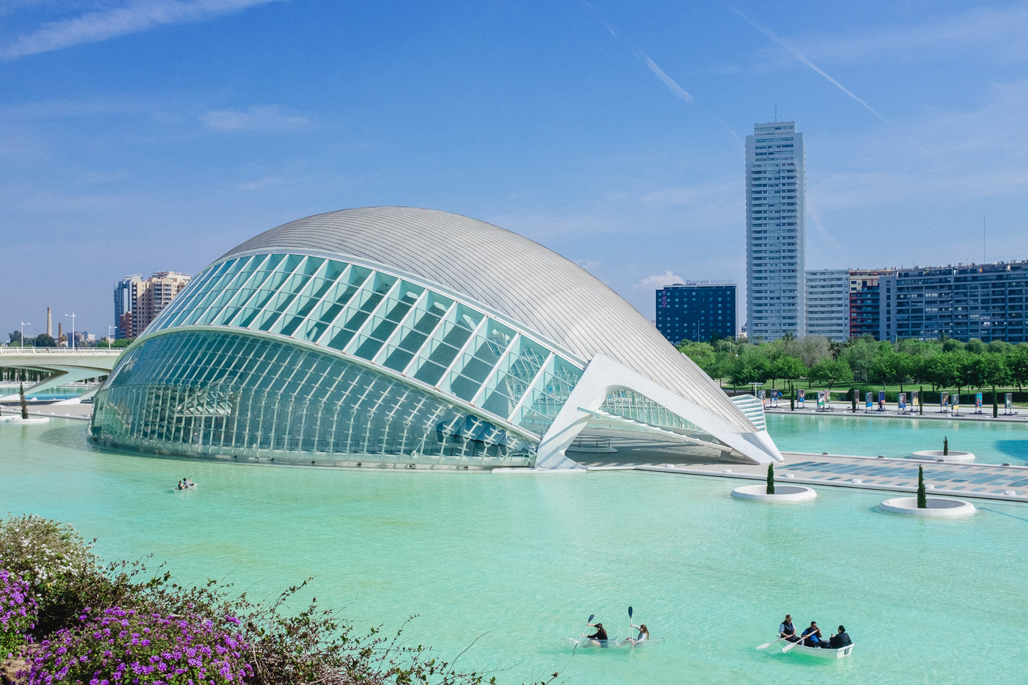 City Of Arts And Sciences Valencia Dynamic Forms Architectural City Of Arts And Sciences Valencia Dynamic Forms Architectural