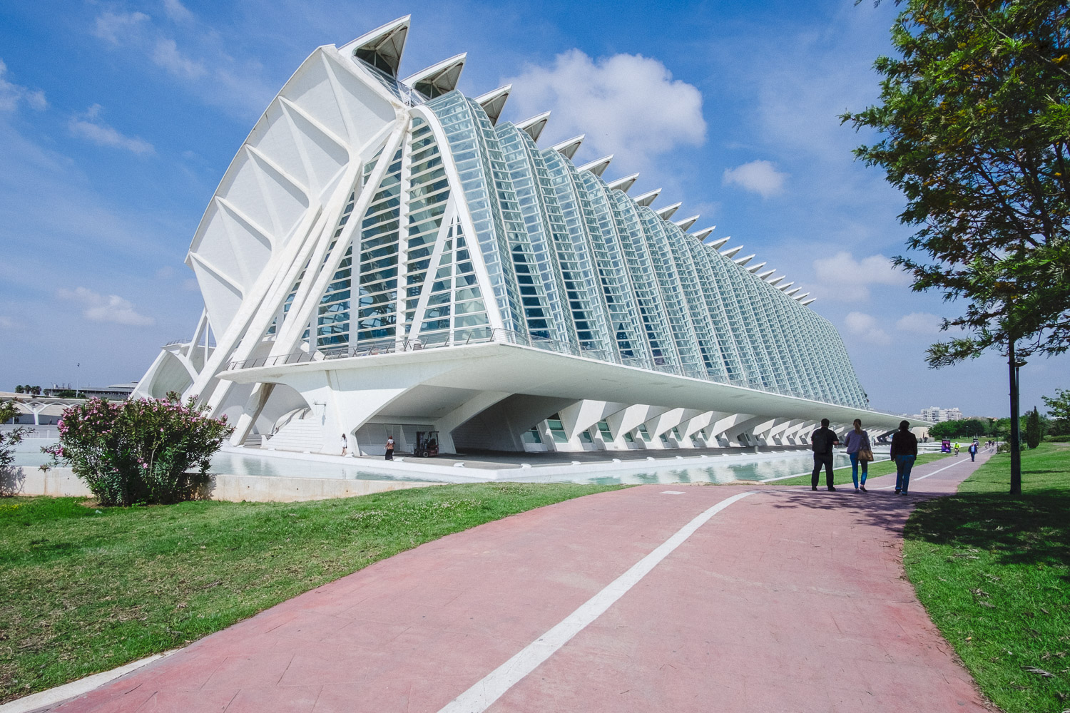City of Arts and Sciences in Valencia Spain - architecture photography by Dynamic Forms and Martin Foddanu Photography