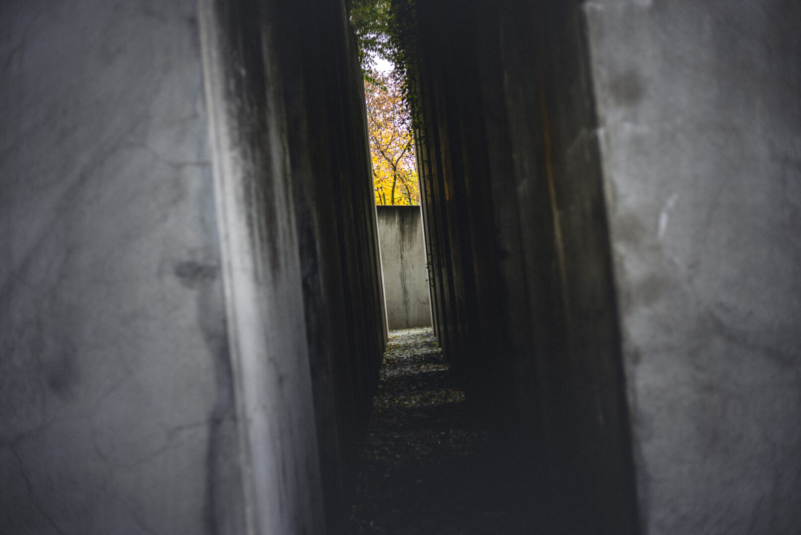 Jewish Museum - Berlin, Germany - architecture photography by Dynamic Forms and Martin Foddanu Photography