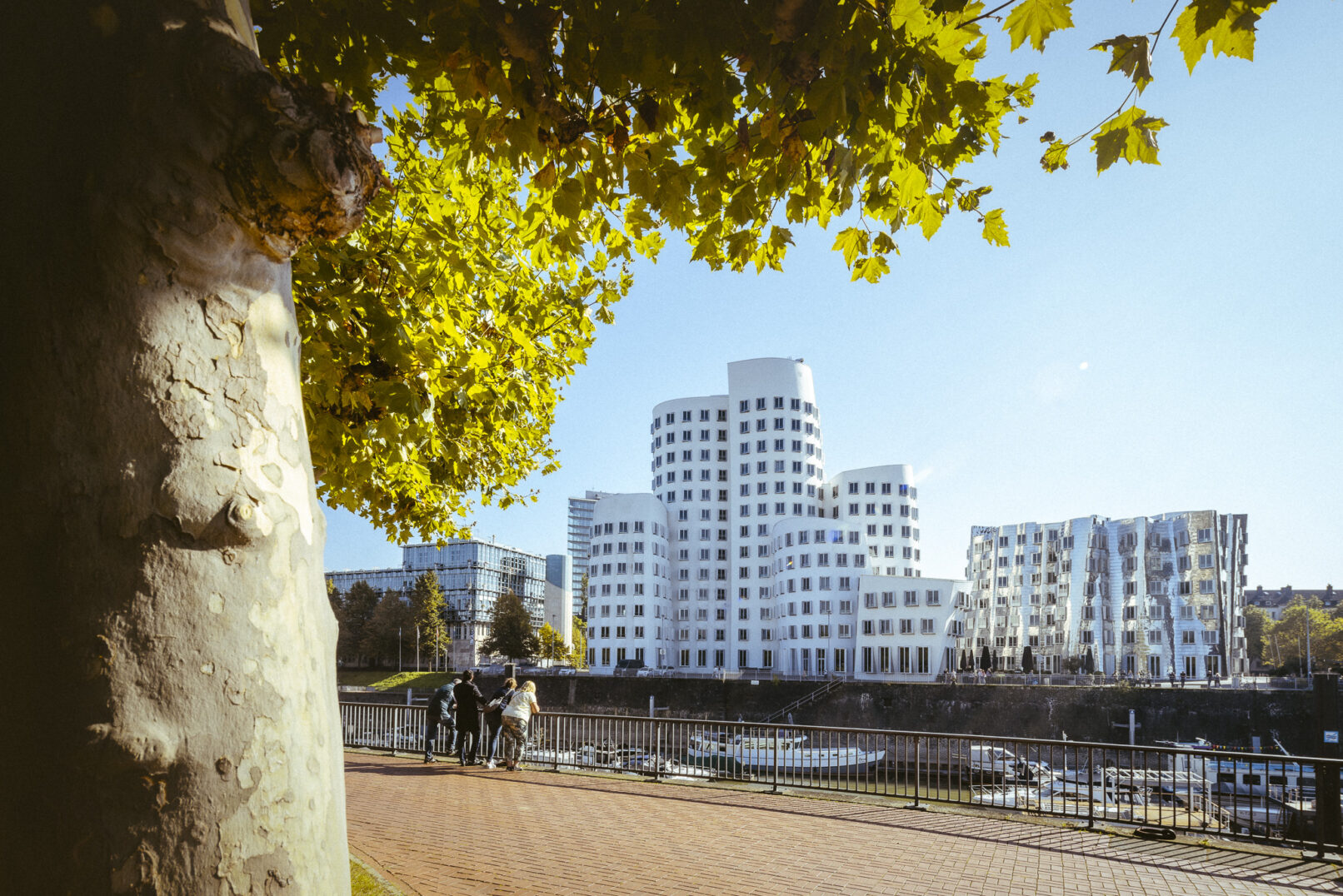 neuer zollhafen - dynamic forms -düsseldorf - frank gehry - architecture photography